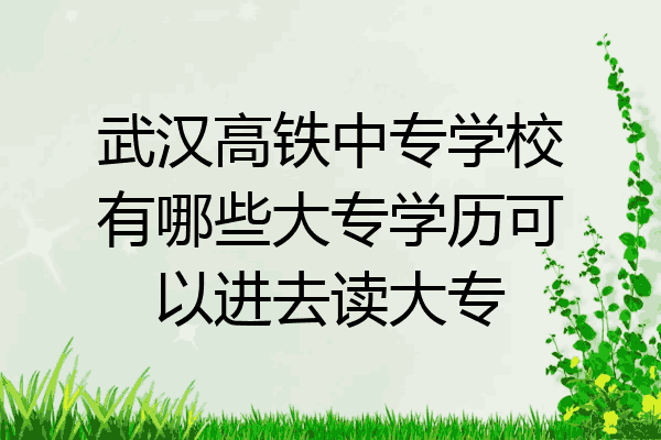 武汉高铁中专学校有哪些大专学历可以进去读大专