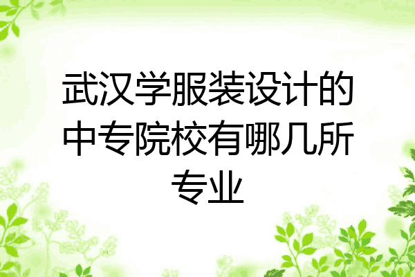 武汉学服装设计的中专院校有哪几所专业