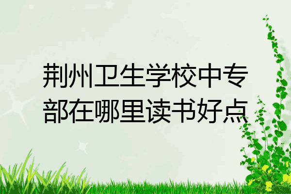 荆州卫生学校中专部在哪里读书好点