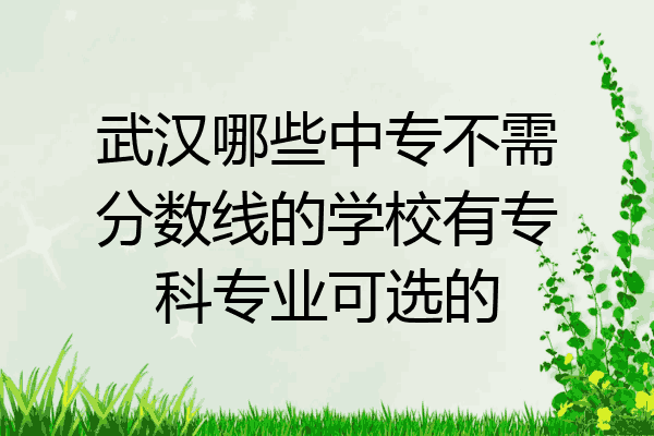 武汉哪些中专不需分数线的学校有专科专业可选的
