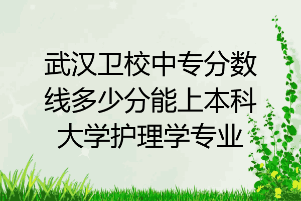 武汉卫校中专分数线多少分能上本科大学护理学专业