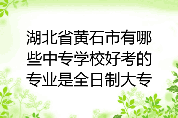 湖北省黄石市有哪些中专学校好考的专业是全日制大专