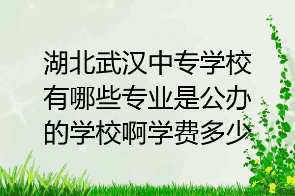 湖北武汉中专学校有哪些专业是公办的学校啊学费多少