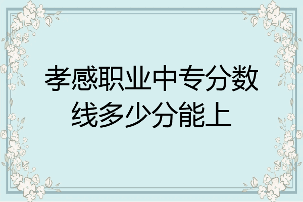 孝感职业中专分数线多少分能上
