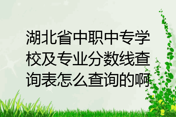 湖北省中职中专学校及专业分数线查询表怎么查询的啊