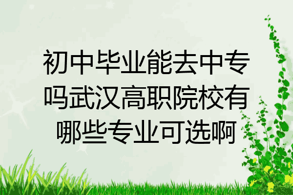 初中毕业能去中专吗武汉高职院校有哪些专业可选啊
