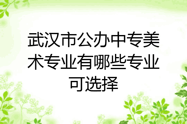 武汉市公办中专美术专业有哪些专业可选择