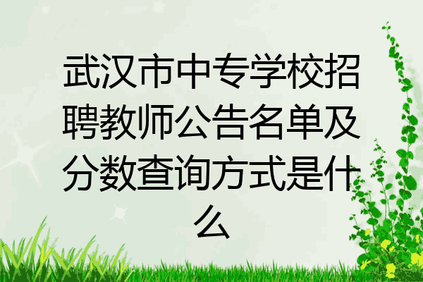 武汉市中专学校招聘教师公告名单及分数查询方式是什么