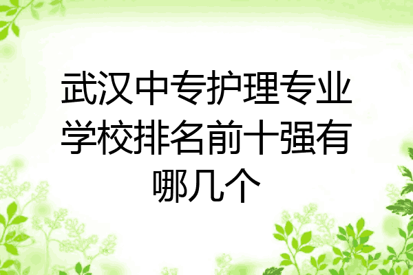 武汉中专护理专业学校排名前十强有哪几个