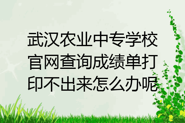 武汉农业中专学校官网查询成绩单打印不出来怎么办呢