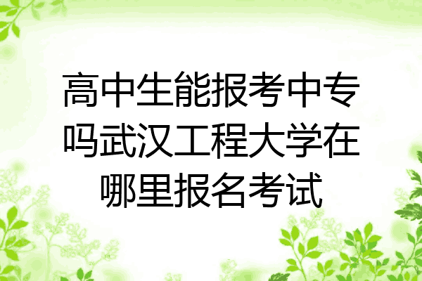 高中生能报考中专吗武汉工程大学在哪里报名考试