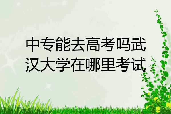 中专能去高考吗武汉大学在哪里考试