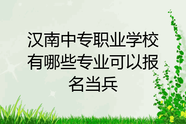 汉南中专职业学校有哪些专业可以报名当兵