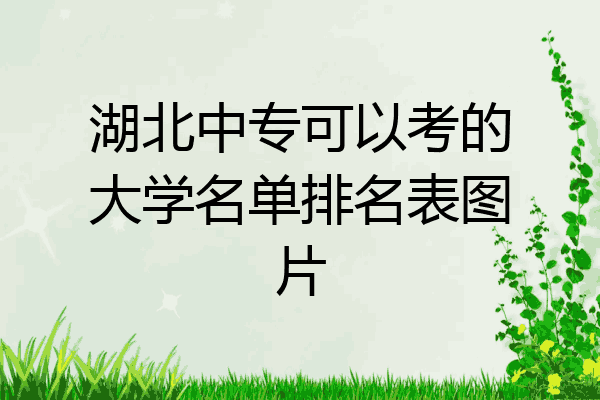 湖北中专可以考的大学名单排名表图片