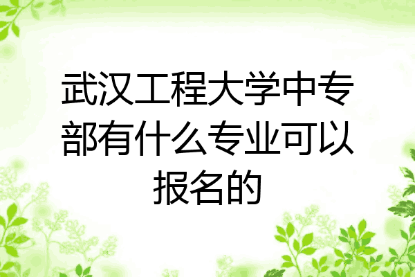 武汉工程大学中专部有什么专业可以报名的