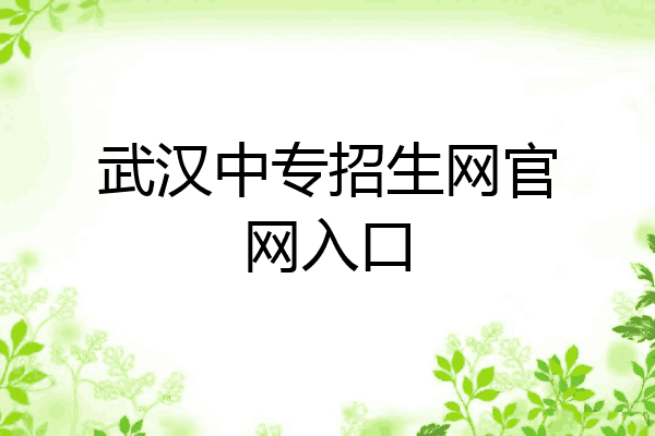 武汉中专招生网官网入口