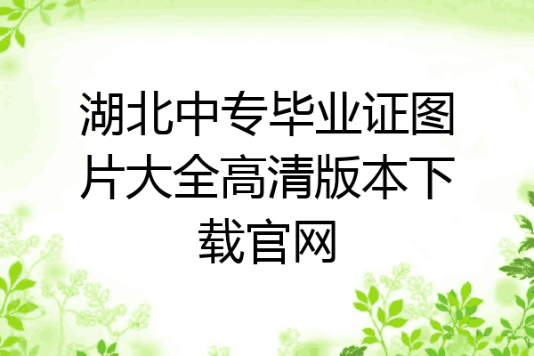 湖北中专毕业证图片大全高清版本下载官网