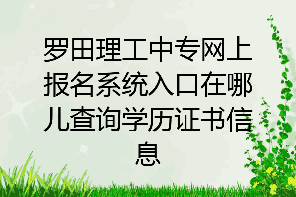 罗田理工中专网上报名系统入口在哪儿查询学历证书信息