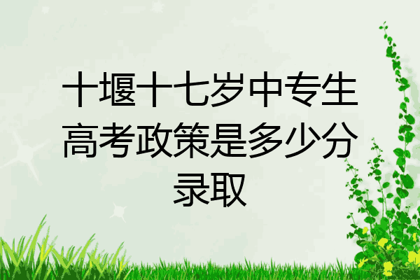 十堰十七岁中专生高考政策是多少分录取