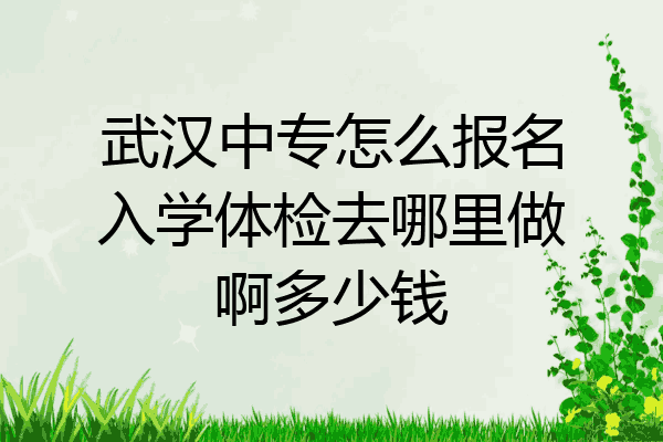 武汉中专怎么报名入学体检去哪里做啊多少钱