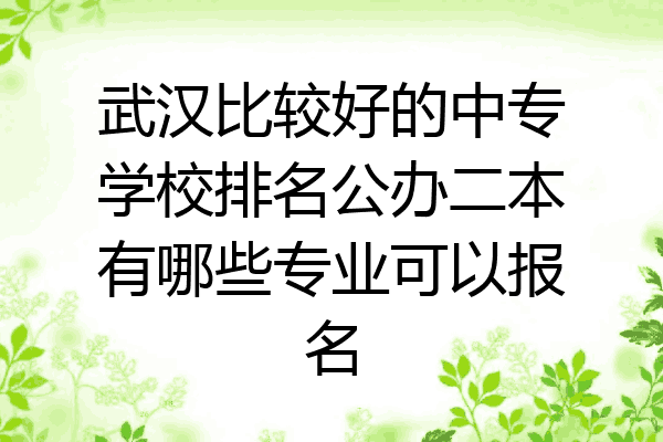 武汉比较好的中专学校排名公办二本有哪些专业可以报名