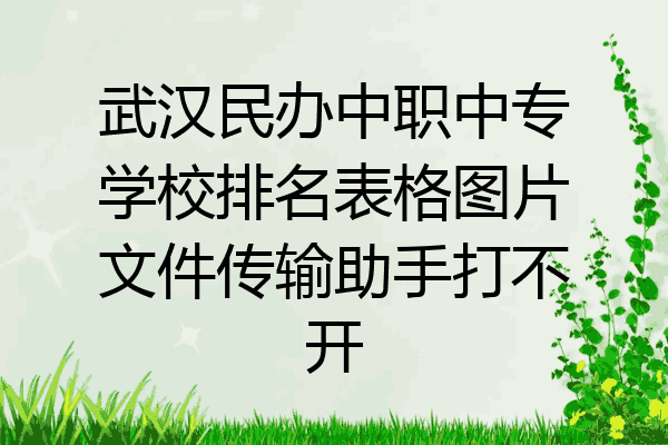 武汉民办中职中专学校排名表格图片文件传输助手打不开