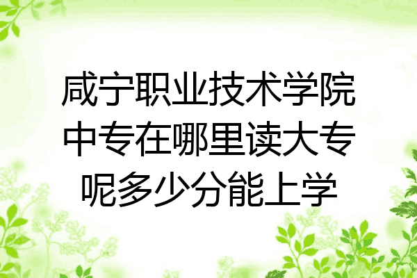 咸宁职业技术学院中专在哪里读大专呢多少分能上学
