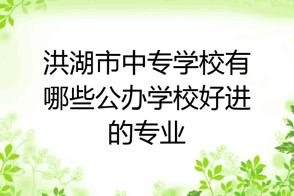 洪湖市中专学校有哪些公办学校好进的专业