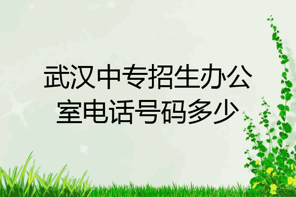 武汉中专招生办公室电话号码多少