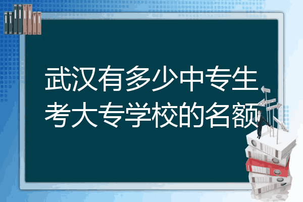 武汉有多少中专生考大专学校的名额