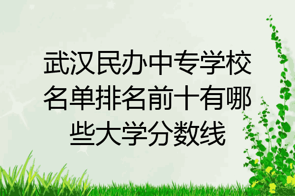 武汉民办中专学校名单排名前十有哪些大学分数线