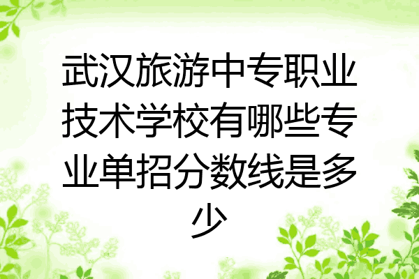 武汉旅游中专职业技术学校有哪些专业单招分数线是多少