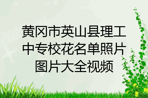 黄冈市英山县理工中专校花名单照片图片大全视频