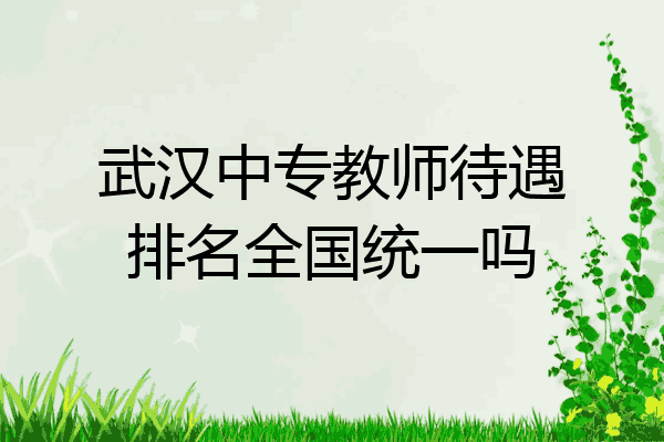 武汉中专教师待遇排名全国统一吗