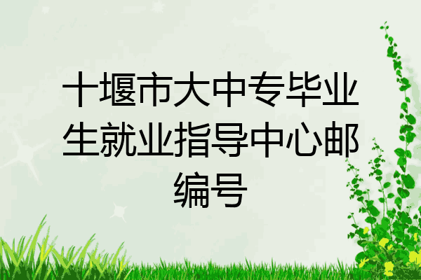 十堰市大中专毕业生就业指导中心邮编号