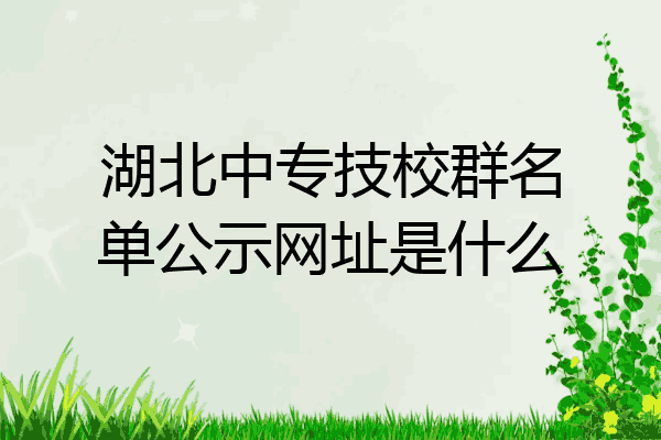湖北中专技校群名单公示网址是什么