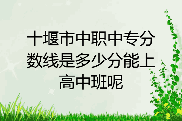 十堰市中职中专分数线是多少分能上高中班呢