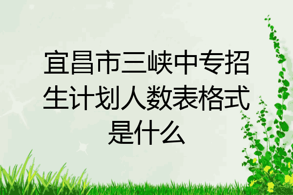 宜昌市三峡中专招生计划人数表格式是什么