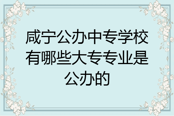 咸宁公办中专学校有哪些大专专业是公办的