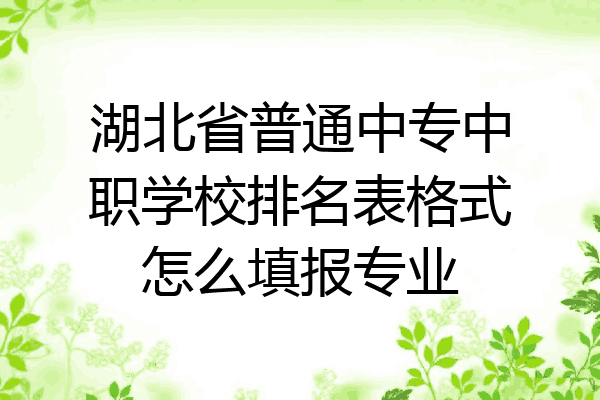 湖北省普通中专中职学校排名表格式怎么填报专业
