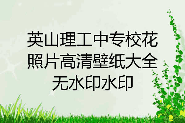英山理工中专校花照片高清壁纸大全无水印水印
