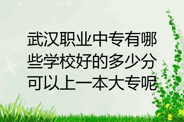 武汉职业中专有哪些学校好的多少分可以上一本大专呢