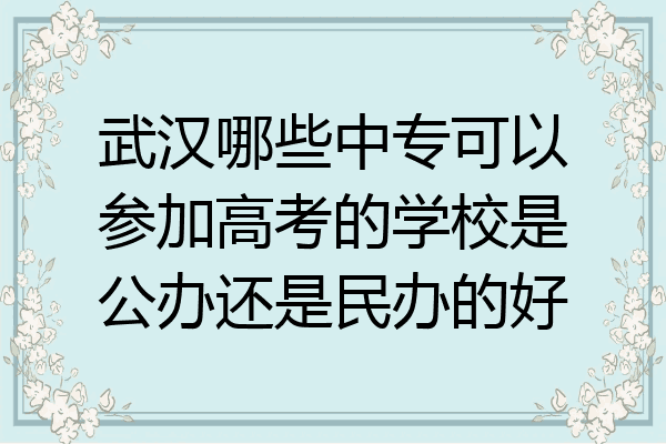 武汉哪些中专可以参加高考的学校是公办还是民办的好