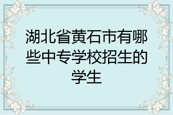 湖北省黄石市有哪些中专学校招生的学生