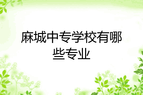 麻城中专学校有哪些专业