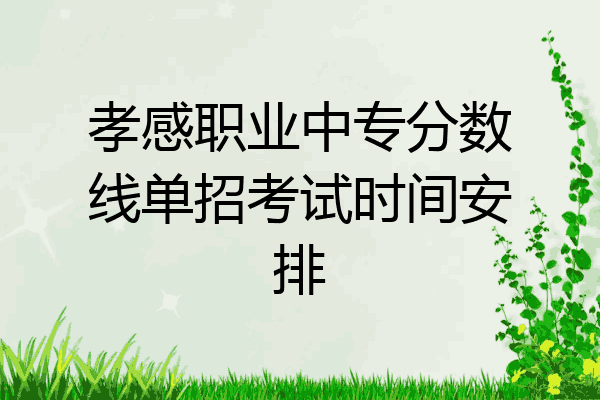 孝感职业中专分数线单招考试时间安排