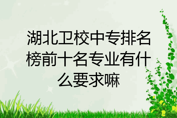 湖北卫校中专排名榜前十名专业有什么要求嘛