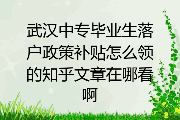 武汉中专毕业生落户政策补贴怎么领的知乎文章在哪看啊