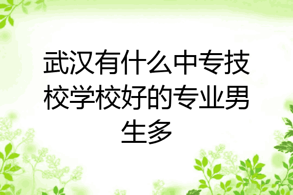 武汉有什么中专技校学校好的专业男生多
