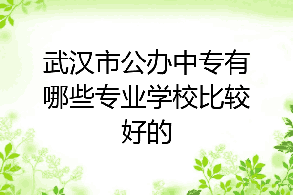 武汉市公办中专有哪些专业学校比较好的